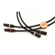 NIMED - Cable Ultimate XLR vers XLR