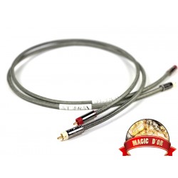 ROBOLI Cable RCA STARS