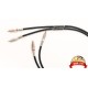 NIMED - Reference Cable RCA vers RCA