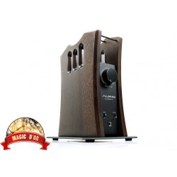 AURIS - Ampli Casque Euterpe