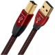 AUDIOQUEST - CINNAMON USB