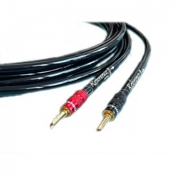DRIADE FLOW 808 speakers cables - USED
