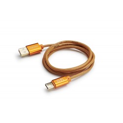 VERTERE Pulse D-FI USB 2.0 Type A vers C