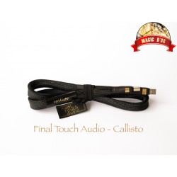 FINAL TOUCH USB cable Callisto - 1m