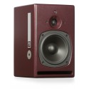 Active loudspeakers