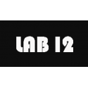 Lab 12