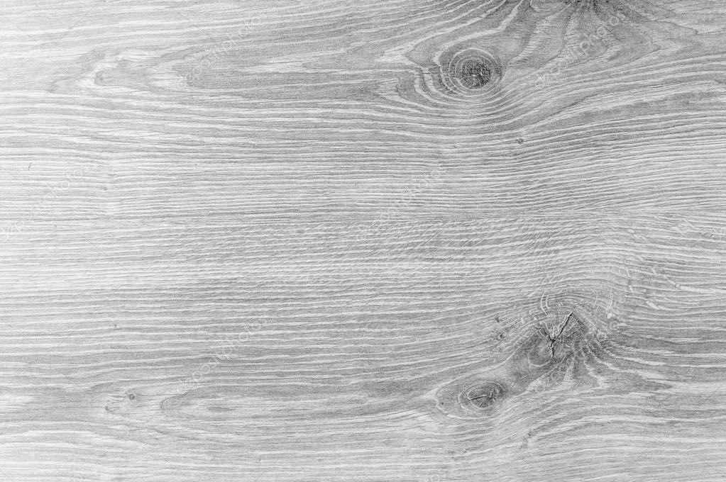 Silver Willow